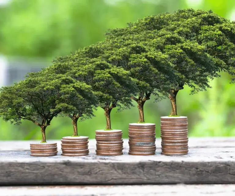 Investissement durable : comment allier rentabilité et responsabilité ?
