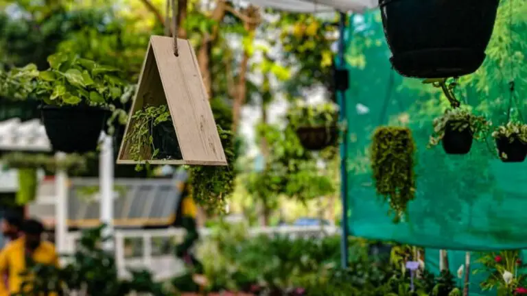 4 avantages d’un appartement en rez-de-jardin