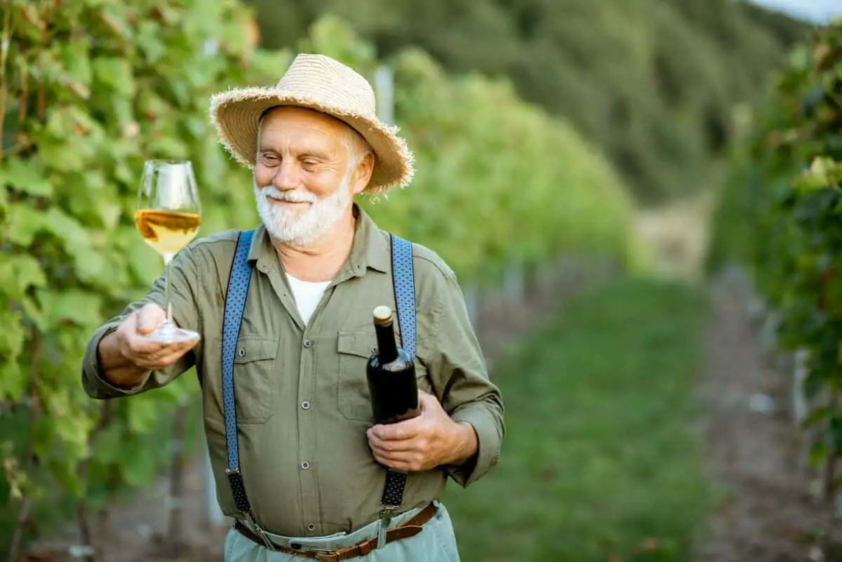 Un homme plus âgé tenant un verre de vin dans un vignoble