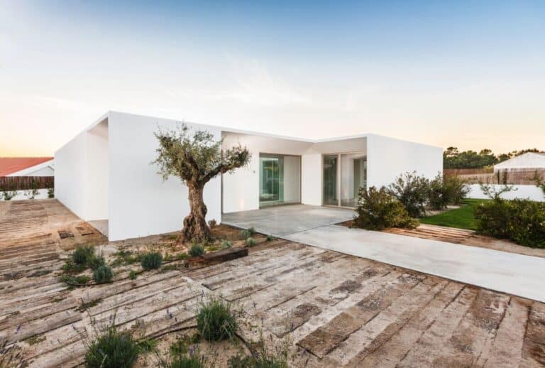 Maison blanche moderne de plain-pied avec de grandes portes vitrées, entourée d'une allée en bois, d'une végétation clairsemée et d'un vieil olivier dans un jardin paysager. Le ciel est dégagé et laisse entrevoir un coucher de soleil.