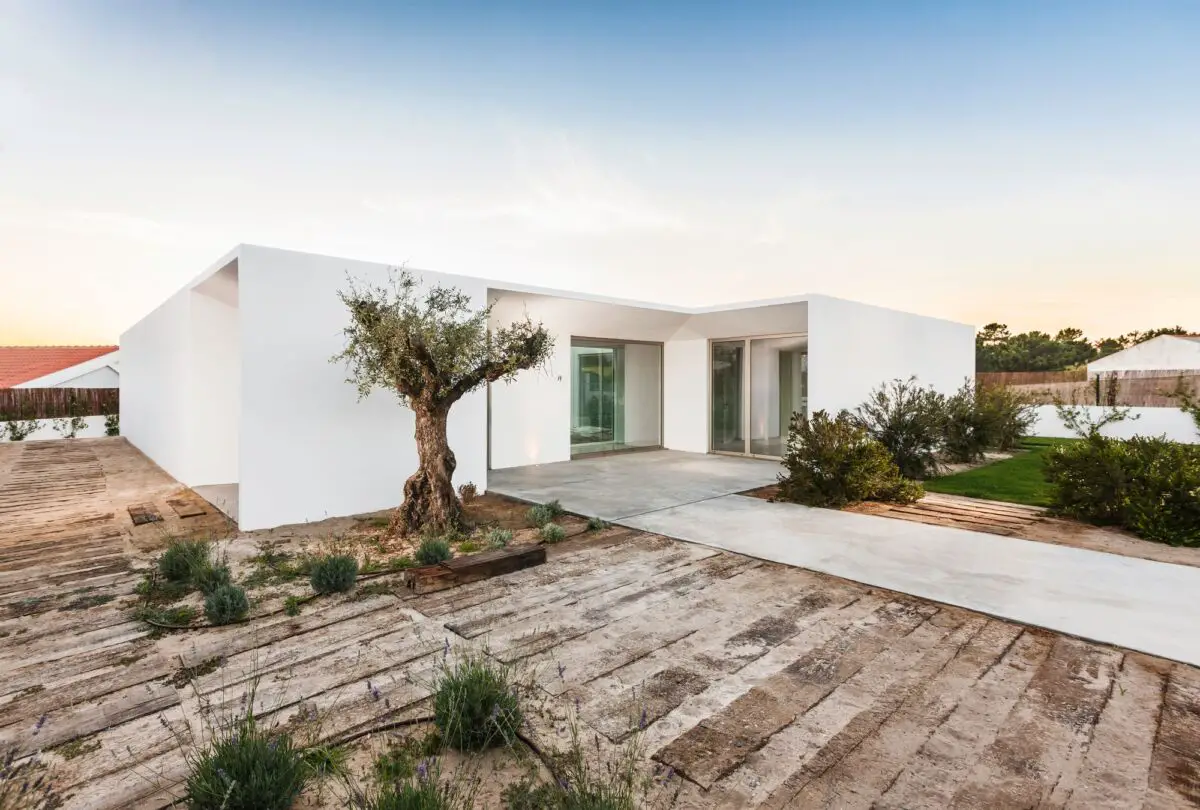 Maison blanche moderne de plain-pied avec de grandes portes vitrées, entourée d'une allée en bois, d'une végétation clairsemée et d'un vieil olivier dans un jardin paysager. Le ciel est dégagé et laisse entrevoir un coucher de soleil.