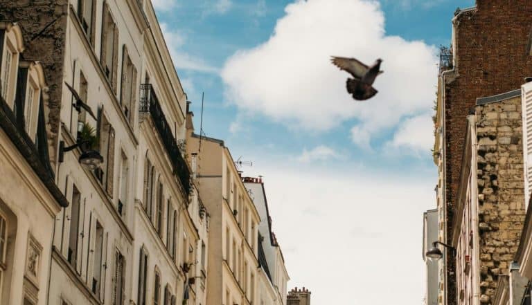 Opportunités immobilières à sens : ce qu’une agence locale peut vous apporter aujourd’hui